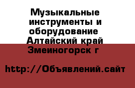  Музыкальные инструменты и оборудование. Алтайский край,Змеиногорск г.